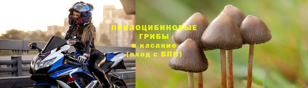 прущая мука Верхний Тагил