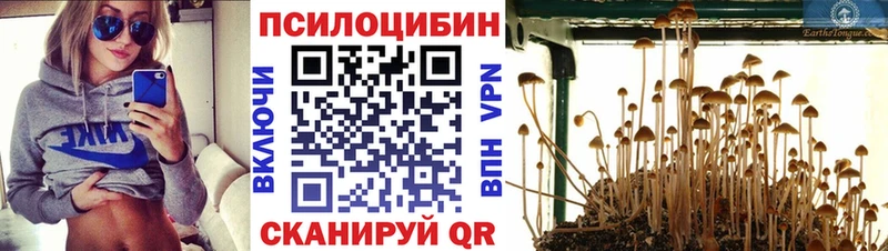 Галлюциногенные грибы прущие грибы  Дубна 